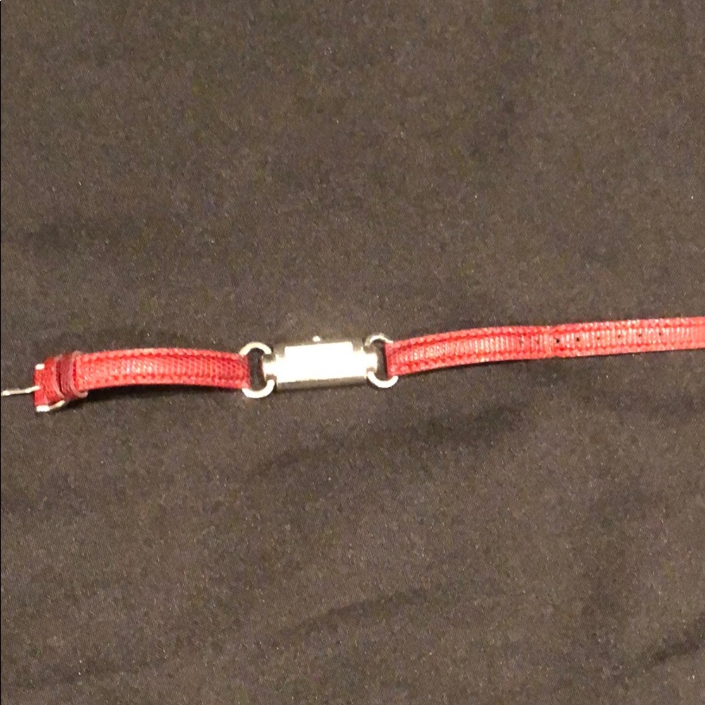 Coach watch